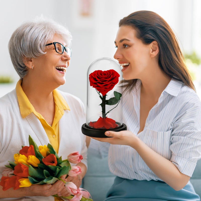 AINYROSE أينيروز وردة حقيقية محفوظة إلى الأبد هدايا عيد الميلاد للنساء، هدية عيد الحب زهرة أبدية في زجاج لعيد الحب، عيد الأم، عيد الميلاد، الذكرى السنوية، عيد الميلاد (أحمر) - Image 2